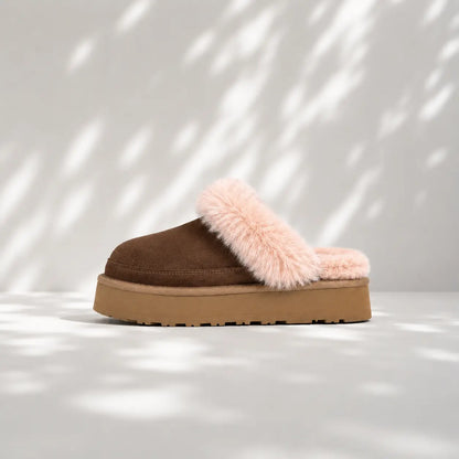 PLÜSH-ZUECOS TENDENCIA